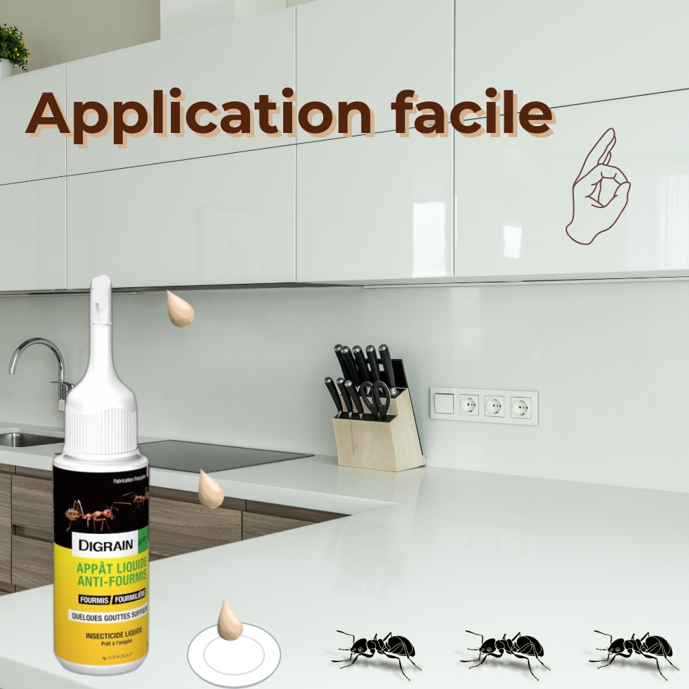 Appât liquide anti-fourmis - Efficace et Facile à Utiliser