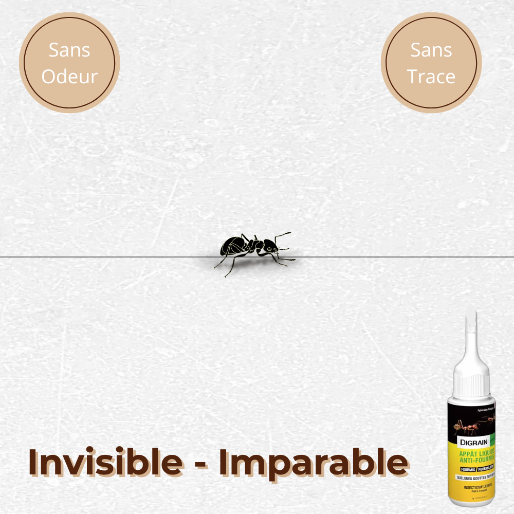 Appât liquide anti-fourmis - Efficace et Facile à Utiliser
