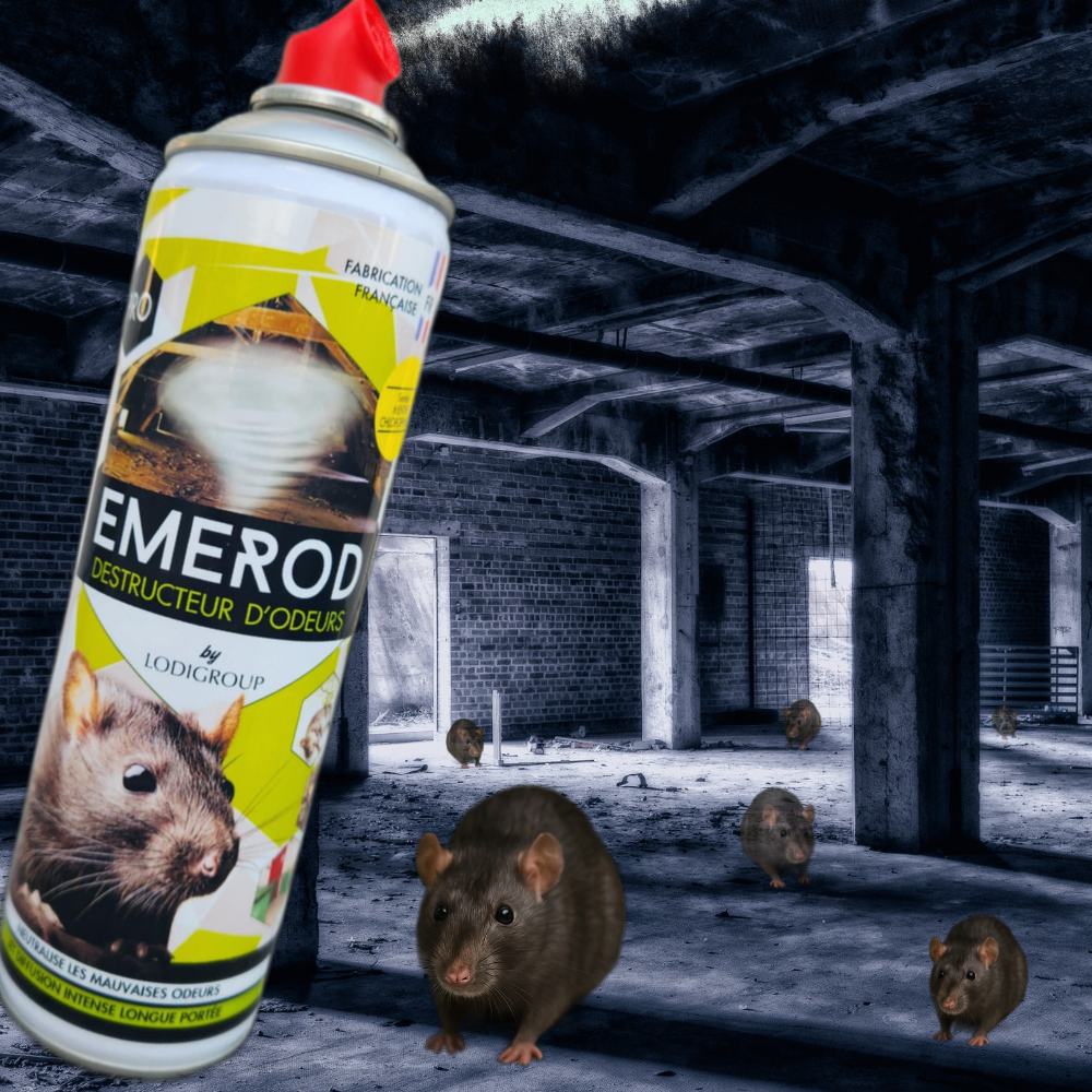 Découvrez le Destructeur d'Odeurs Emerod : Votre Solution Efficace contre les Odeurs de Rongeurs !