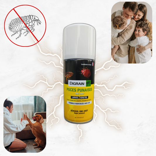 Élimination des Puces en Un Seul Traitement : Découvrez Notre Solution Efficace !