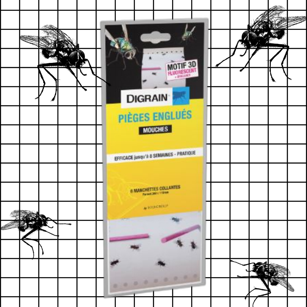 Éliminez les Mouches Efficacement avec Notre Piège Englué !