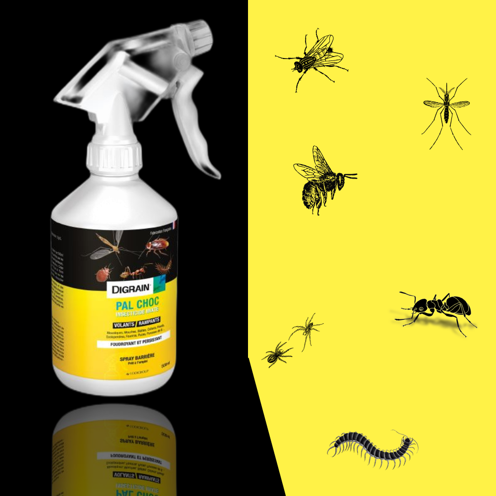 Insecticide Mixte