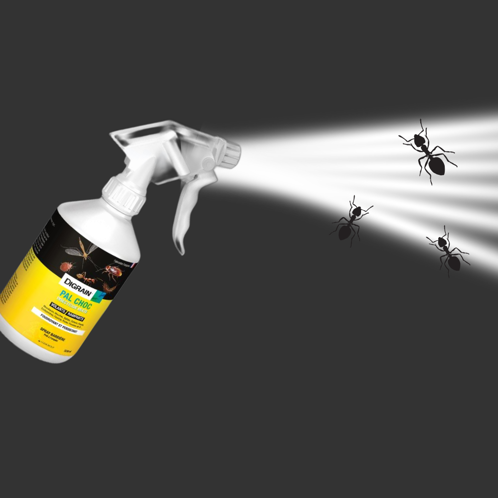 Insecticide Mixte