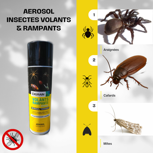 Protégez votre espace des insectes volants et rampants !