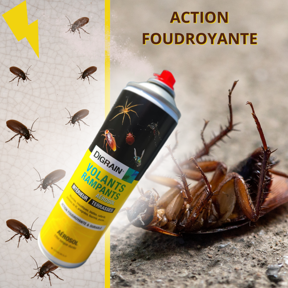 Protégez votre espace des insectes volants et rampants !