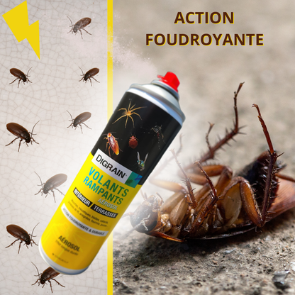 Protégez votre espace des insectes volants et rampants !