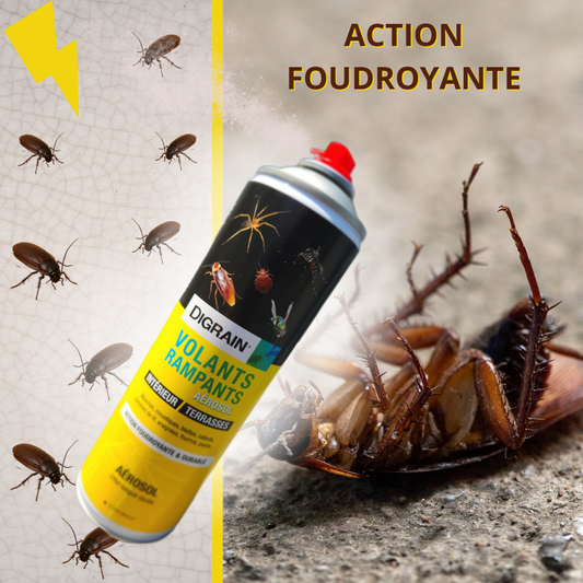 Protégez votre espace des insectes volants et rampants !