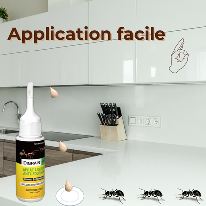 Appât liquide anti-fourmis - Efficace et Facile à Utiliser