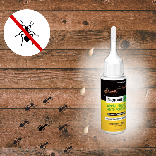 Appât liquide anti-fourmis - Efficace et Facile à Utiliser