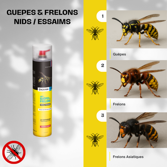 Bombe Anti-Guêpes et Frelons