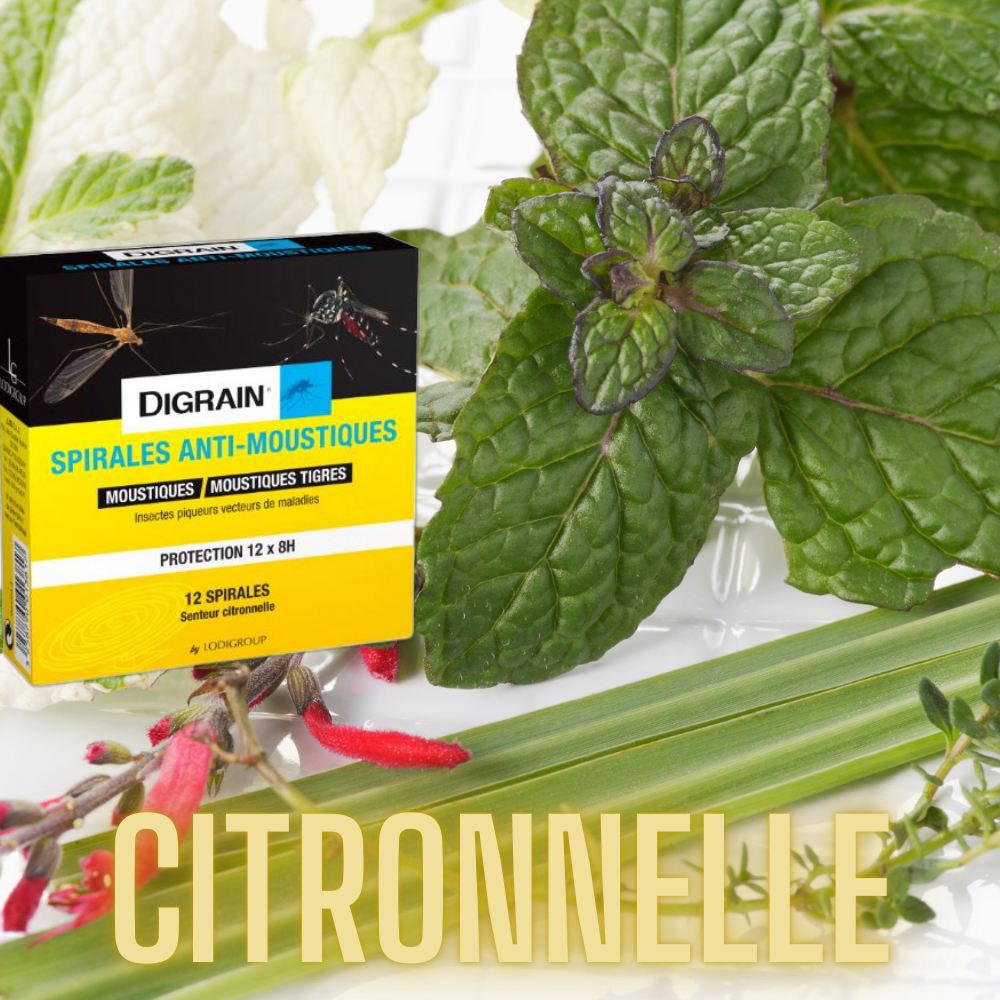 Spirales Anti-Moustiques DIGRAIN® : Protection Efficace Contre les Insectes Volants