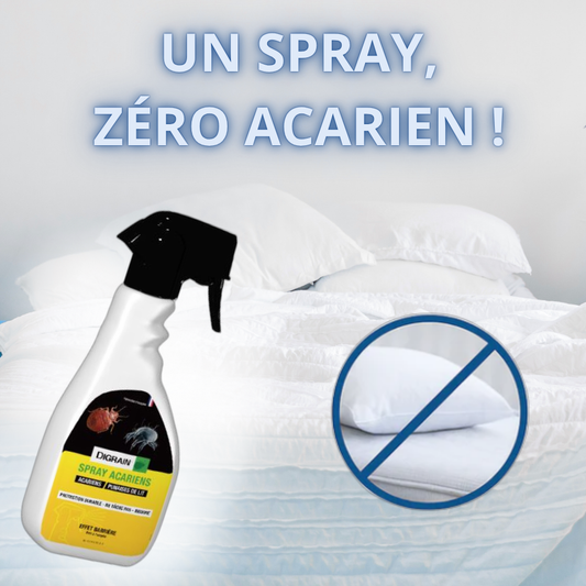 Spray Anti Acariens