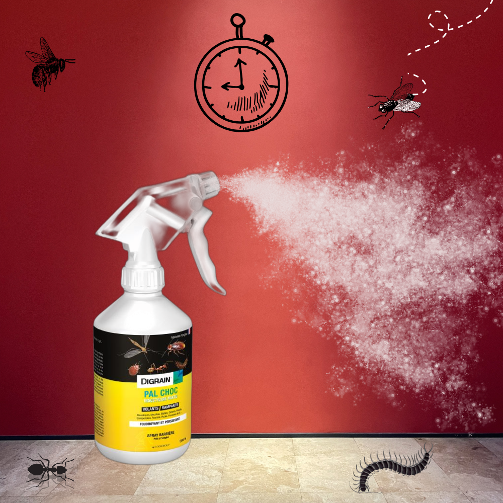 Insecticide Mixte